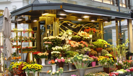 Открытие цветочного магазина 